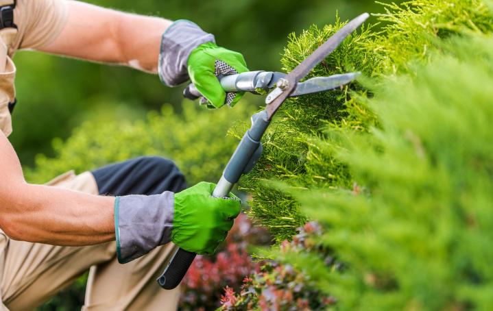 Réalisation et entretien de jardin Granville