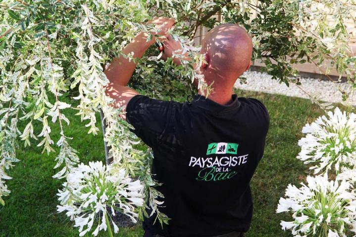 Entretien de jardin Granville