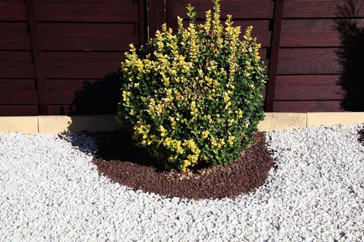 Entretien de jardin Granville
